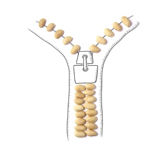 اللوز , البندق , الفستق , الكاتشو , المكسرات , موقع لإثراء المحتوى العربي , مقالات حول التصميم  , شعارات , فن , الالهام , الفنانين , فنانين , أخبار الفن , فعاليات الفن , فسيفساء الفنانين , مصممين , معمارين , رسامين , نحاتين , موقع فسيفساء  ,تصميم , شعار , علامة تجارية , فسيفساء , لوحات فنية