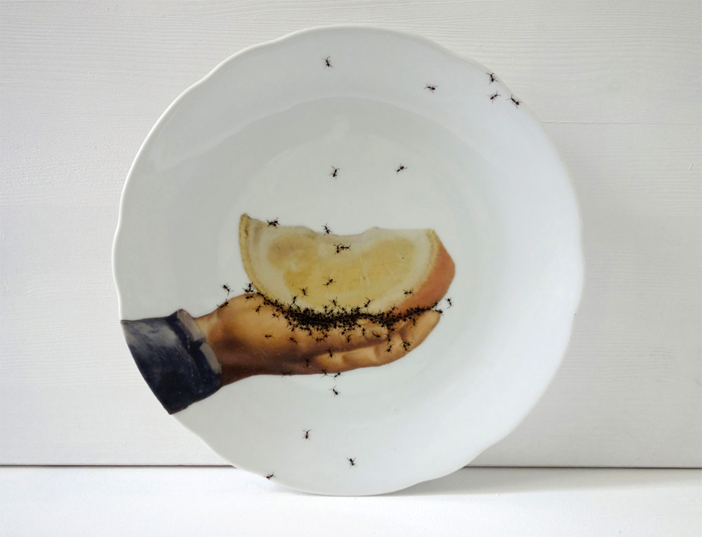 أطباق خزفية مزخرفة برسومات يدوية من حشود النمل الزاحف إبتكرته الفنانة إيفلين براكلو